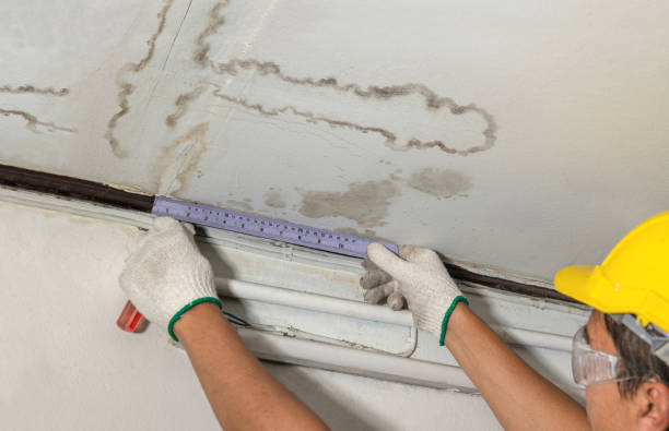 Reliable Mold Remediation contractor in Saint Johns, MI by Water Damage Irwin